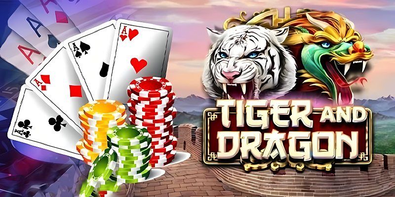 Tham khảo cược gấp thếp để đánh Dragon Tiger lấy đủ vốn + lãi