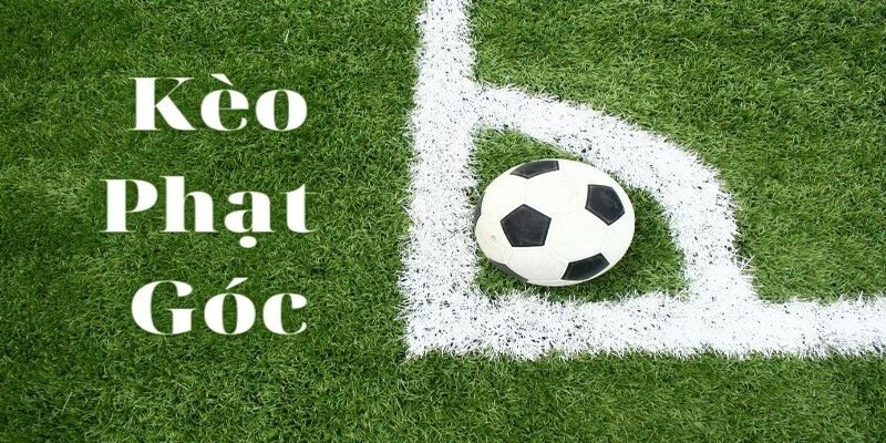 Hướng dẫn soi kèo phạt góc Mibet hiệu quả